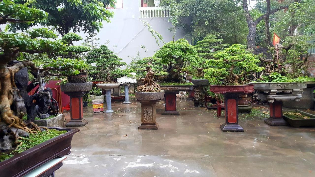 Quang Quang Garden Bonsai Homestay 닌빈 외부 사진